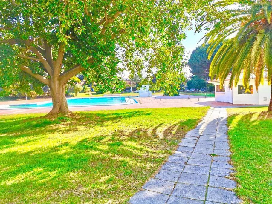 Resort Albufeira T1, Praia Da Oura Eksteriør billede