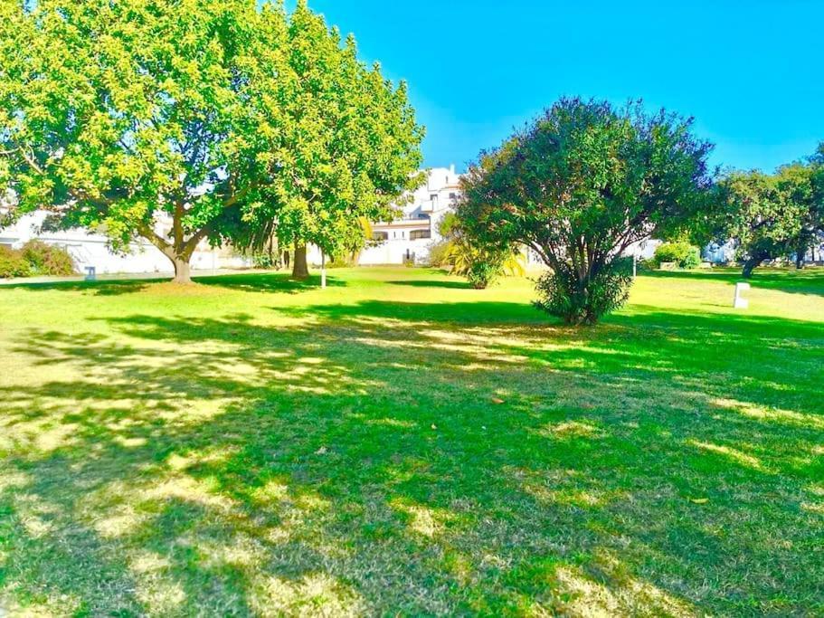 Resort Albufeira T1, Praia Da Oura Eksteriør billede